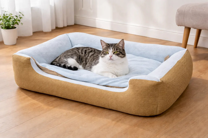 Choosing Comfortable Pet Beds For Better Rest