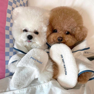 Transform Bath Time with Our Pet Bath Towel Robe!